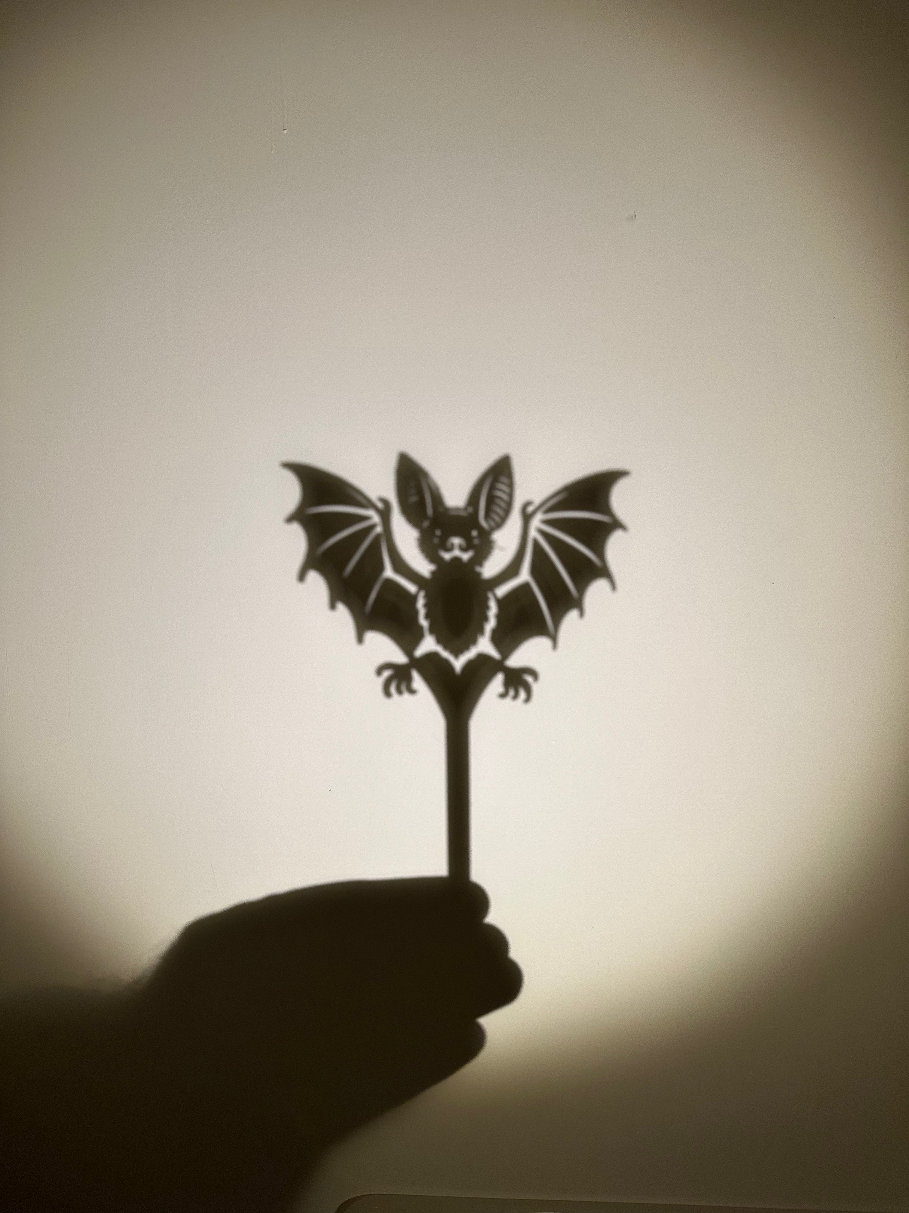 ערכת תאטרון צללים