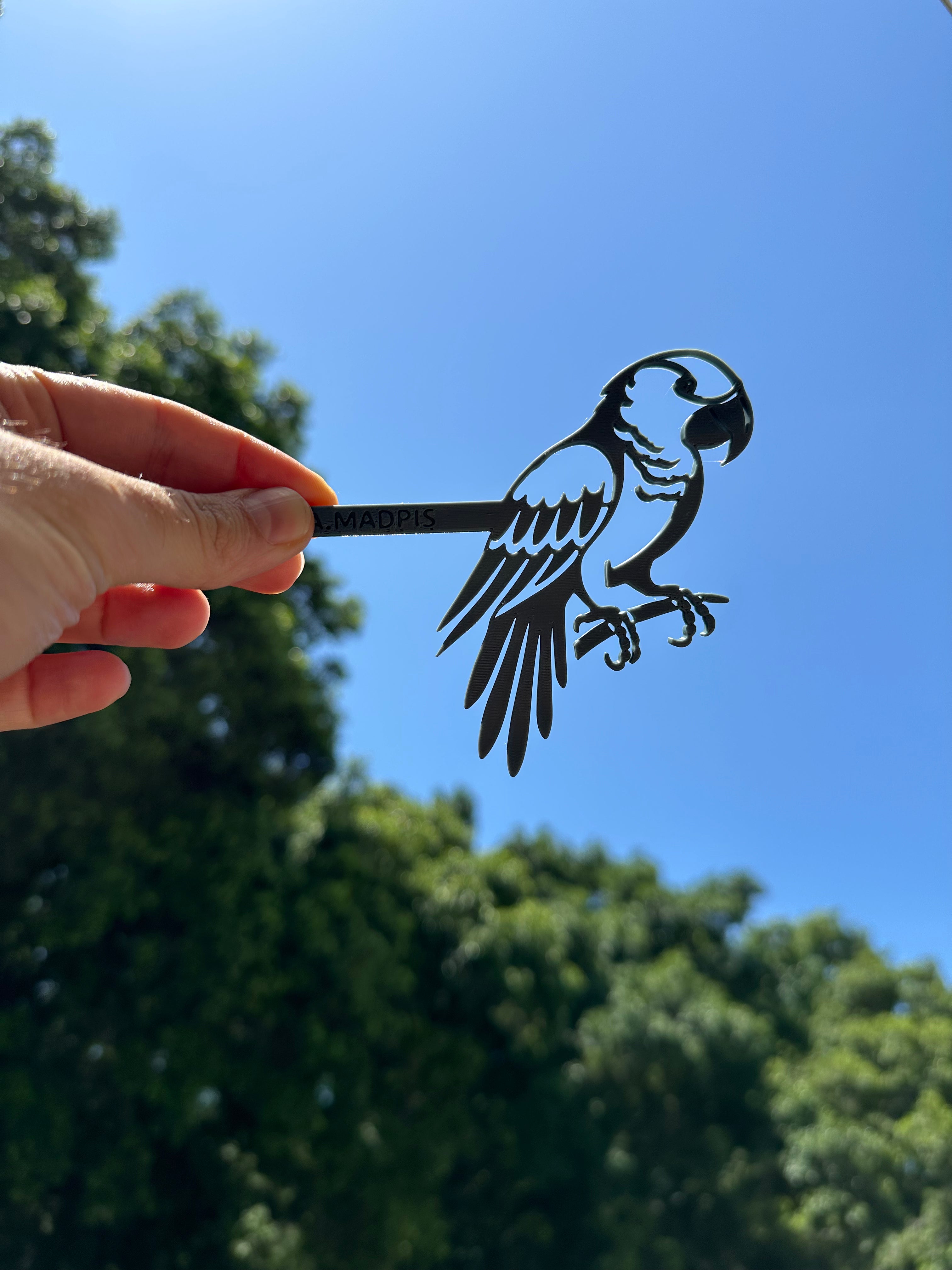 ערכת תאטרון צללים